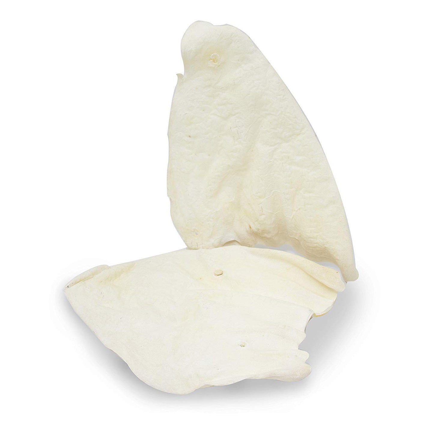 Cadet White Cow Ears 12 pack
